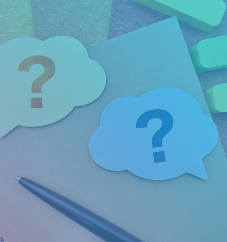 社員インタビュー